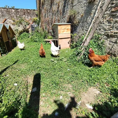 Ancienne Ecole Proche Du Puy Du Fou Σπίτι διακοπών